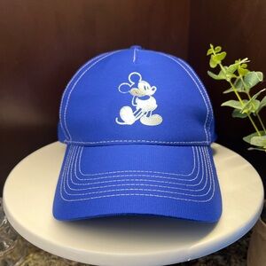 Disney Make a Wish baseball hat